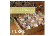 いろいろクッキー(クッキー７種類入り)12袋セット シフォンのお店PUKKU 奈良県 奈良市 なら 16-004
