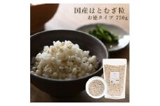国産はとむぎ粒（お徳タイプ）それいゆ株式会社 炊飯 お米 ごはん 炊きこみ 健康 栄養 奈良県 奈良市 奈良 なら 11-006