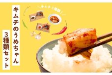 キムチ3種類セット キムチのうめちゃん キムチ 手作り 本場の味 コクうま 白菜 ニンニク ごはんのお供 ピリ辛 お米 ごはん ビール 酒 おつまみ 漬物 野菜 BBQ 焼肉 惣菜 キムチチャーハン キムチ鍋 発酵食品 韓国   奈良県 奈良市 なら 6-010