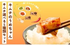 キムチ選べる5種類セット キムチのうめちゃん おいしいキムチ 本場キムチ おすすめキムチ 手作り 本場の味 コクうま 白菜 ニンニク ごはんのお供 ピリ辛 お米 ごはん ビール 酒 おつまみ 漬物 野菜 BBQ 焼肉 惣菜 キムチチャーハン キムチ鍋 発酵食品 韓国 奈良県 奈良市 なら 11-009