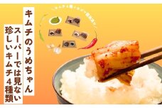 スーパーでは見ない珍しいキムチ4種類 キムチのうめちゃん キムチ 手作り 本場の味 コクうま 白菜 ニンニク ごはんのお供 ピリ辛 お米 ごはん ビール 酒 おつまみ 漬物 野菜 BBQ 焼肉 惣菜 キムチチャーハン キムチ鍋 発酵食品 韓国 奈良県 奈良市 なら 9-101