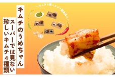 スーパーでは見ない珍しいキムチ4種類 キムチのうめちゃん キムチ 手作り 本場の味 コクうま 白菜 ニンニク ごはんのお供 ピリ辛 お米 ごはん ビール 酒 おつまみ 漬物 野菜 BBQ 焼肉 惣菜 キムチチャーハン キムチ鍋 発酵食品 韓国 奈良県 奈良市 なら 9-101