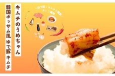 韓国ポッサム風 ゆで豚 キムチ たれセット キムチのうめちゃん キムチ おいしいキムチ おすすめキムチ 本場キムチ 手作り 本場の味 コクうま 白菜 ニンニク ごはんのお供 ピリ辛 お米 ごはん ビール 酒 おつまみ 漬物 野菜 BBQ 焼肉 惣菜 キムチチャーハン キムチ鍋 発酵食品 韓国 奈良県 奈良市 なら 13-007