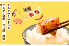 キムチ５種類・ゆで豚・酢味噌 キムチのうめちゃん キムチ 手作り 本場の味 コクうま 白菜 ニンニク ごはんのお供 ピリ辛 お米 ごはん ビール 酒 おつまみ 漬物 野菜 BBQ 焼肉 惣菜 キムチチャーハン キムチ鍋 発酵食品 韓国 奈良県 奈良市 なら 16-006