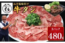 肉 タン ねぎ塩 牛タン 480g 牛肉 牛タン 牛たん 薄切り牛タン 味付け 味付き 焼肉 BBQ キャンプ アウトドア 焼くだけ 簡単調理 訳あり サイズ不揃い 小分け 人気 厳選 家計応援 期間限定 奈良県 奈良市 奈良 焼肉工房もく なら 9-018