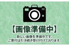 無添加 紅はるか 干し芋　【 年内配送 】食べきり袋 120g×4袋 ほし芋 干し芋 ほしいも 干しいも 芋 砂糖不使用  干しいも ほしいも 紅はるか 国産 無添加 さつまいも 芋 お菓子 おやつ デザート 和菓子 ギフト いも イモ 5-030