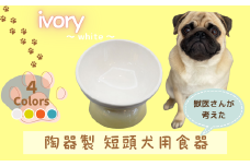【ペット用品】陶器製 短頭犬用食器　アイボリー（ホワイト）／CHOB3_536137 奈良県 奈良市 なら 10-092
