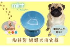 【ペット用品】陶器製 短頭犬用食器　ミント（ブルー） ／CHOB3_536151 奈良県 奈良市 なら 10-094