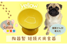 【ペット用品】陶器製 短頭犬用食器　イエロー ／CHOB3_536175 奈良県 奈良市 なら 10-095