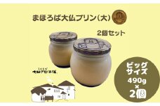 プリン まほろば大仏プリン(大)2個セット プリン なめらかプリン カスタードプリン 奈良県 奈良市 なら 9-026