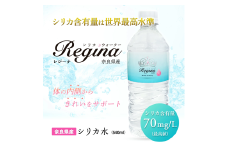 シリカウォーター ミネラルウォーター 天然水 Regina 奈良市産 24本（540ml× 2ケース) レジーナ LeMoN 奈良県 奈良市 なら 12-066