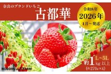 【 先行予約 / 数量限定 】 いちご 1kg 以上 ( 270g × 4P ) 新鮮 産地直送 厳選 【2026年1月以降発送】 旬 ブランド イチゴ 苺 古都華 フルーツ 果物 くだもの 国産 限定 大粒 産地 農場 直送 フレッシュ ベリー 贈答用 プレゼント 人気 おすすめ 苺 デザート スイーツ イードム株式会社 のぼるちゃんファーム 奈良県 奈良市 なら 12-097