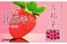 〇2026年予約販売開始〇【2026年（令和8年）1月～発送】 
「6FARMの 古都華いちご大粒サイズ」 限定出荷 〈6FARM〉 いちご 苺 奈良ブランド苺 イチゴ ブランド 古都華 大粒 奈良県 奈良市 なら 20-050-01
