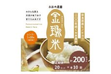 定期便パックごはん白米20個×10回コース毎月発送：地下水で育てた「金鵄米きんしまい」 奈良県 奈良市 なら 300-004
