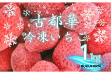 【数量限定】完熟古都華 の 冷凍いちご（古都華） 奈良ブランド苺 イチゴ フルーツ 果物 国産 冷凍 人気 かき氷 フローズン スムージー ジャム アレンジ スイーツ 『６FARM』 奈良県 奈良市 10-212