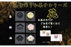 【手作り和菓子シリーズ】●練りきり型（へら付）：花シリーズ●//プラスチック製 和菓子 調理 料理 製菓 キッチン 調理器具 軽量 わがし 和菓子 お菓子 抜き型 押し型 型抜き ねりきり 押し寿司 奈良県 奈良市 なら 8-049 CWFL3S 204333