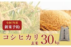 〈数量限定〉【2025年収穫後順次発送】新米コシヒカリ　30kg（玄米）コシヒカリ こしひかり 新米 米 こめ ご飯 ふっくら つやつや  新米 大和高原  大和高原醸造所 奈良県 奈良市 なら 81-003