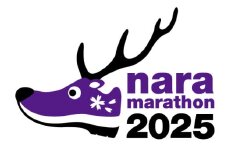 奈良マラソン2025出走権（マラソン種目）1人分 奈良マラソン 奈良県 奈良市 なら 50-038