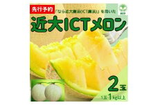 近大ICTメロン（帯解メロン）青肉メロン 1玉（1~2kg ）× 2玉 メロン ブランド 果物 フルーツ MYPユニバーサル農園 奈良県 奈良市 なら 12-104
