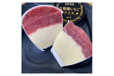 【 贅沢 濃厚 アイス 】素材の味を楽しむ いちご アイス セット 6個 ブランド 苺 イチゴ アイスクリーム スイーツ フルーツ 果物 ミルク 牛乳 無添加 冷凍 送料無料 国産 農場 産地 ギフト プレゼント カップ スウィーツ ご当地 ベリー 返礼品 古都華 奈良 奈良市 なら イードム株式会社 のぼるちゃんファーム 10-206