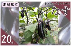 なす 〈期間限定〉 なすび 夏野菜 千両2号 （20本）国産 奈良市産 ナス 茄子 産地直送  野菜 ベジタブル 新鮮 焼きナス 麻婆 煮浸し 煮つけ 味噌炒め キズあり 奈良県 奈良市 4-166