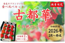 【数量限定】 奈良ブランドいちご２種（古都華と他１種）食べ比べセット×２セット （古都華２パック＋別品種２パックの計４パック） (他１種は、かおりの・珠姫・奈乃華・ならあかり・あすかルビーのいずれか) イチゴ いちご 苺 めいとく農園 奈良県 奈良市 奈良 14-034