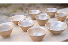 お茶碗 【金色】 茶碗 高級品 金 銀 大塩 恵旦作 伝統工芸 赤膚焼 工芸品 作品 国宝 世界遺産 薬師寺 粘土 伝統 歴史 1300年 お祝い プレゼント 奈良県 奈良市 なら 4000-001