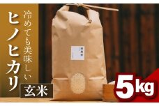 ヒノヒカリ 玄米 5kg 令和6年産 冷めても美味しい 米 お米 ごはん ご飯 米 玄米 健康 玄米 ブランド米 ひのひかり 2024年度産 奈良県 奈良市