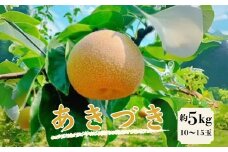 梨（ あきづき ） 果物 梨 ナシ なし 和梨 スイーツ フルーツ デザート 水 豊水 先行 果物 くだもの フルーツ ナシ 梨 先行予約 送料無料 旬 果物 お取り寄せ 梨 なし 梨 スムージー 井ガシラ農園 奈良県 奈良市 15-015