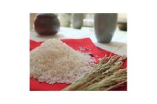 2021年3月発送開始『定期便』＜毎月お届け＞奈良県大和高田市産ヒノヒカリ5kg×12ヶ月全12回【5014188】