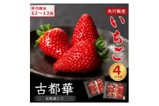 ＜先行予約＞奈良県産いちご　古都華　化粧箱入り4パック＜2025年12月中旬から発送＞_いちご 苺 果物 フルーツ くだもの 旬 人気 おすすめ 贈答 ギフト 産地直送 送料無料 冷蔵 産直【1137003】