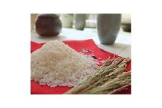 2022年10月発送開始『定期便』奈良県大和高田市産ヒノヒカリ5kg×2 合計10kg 全3回【5077902】