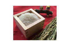 2022年10月発送開始『定期便』 奈良県大和高田市産ヒノヒカリ1kg×3合計3kg 全3回【5082627】