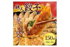 鉄人餃子　150個(30個×5袋)_ ぎょうざ 餃子 ギョウザ 鉄人餃子 冷凍 総菜 中華 おかず おつまみ 人気 おすすめ 贈答 ギフト 送料無料 お取り寄せ 国産 奈良県 簡単調理 便利 【1373365】