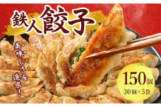 鉄人餃子　150個(30個×5袋)_ ぎょうざ 餃子 ギョウザ 鉄人餃子 冷凍 総菜 中華 おかず おつまみ 人気 おすすめ 贈答 ギフト 送料無料 お取り寄せ 国産 奈良県 簡単調理 便利 【1373365】