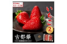 奈良県産いちご　古都華　化粧箱入り2パック＜2025年12月中旬から発送＞_いちご 苺 果物 フルーツ くだもの 旬 人気 おすすめ 贈答 ギフト 産地直送 送料無料 冷蔵 産直【1253928】