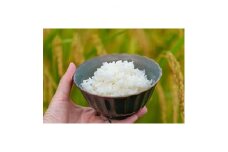 2024年1月発送開始『定期便』＜無洗米＞奈良県大和高田市産ヒノヒカリ5kg 全12回【5161157】
