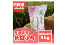 ＜令和6年産＞奈良県産 あきたこまち 精米 5kg【1454618】