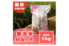 ＜令和6年産＞＜無洗米＞ 奈良県産 あきたこまち 5kg【1462024】