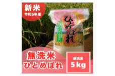 ＜令和6年産＞＜無洗米＞ 奈良県産 ひとめぼれ 5kg【1462025】