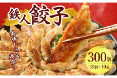 鉄人餃子　300個(30個×10袋)_ ぎょうざ 餃子 ギョウザ 鉄人餃子 冷凍 総菜 中華 おかず おつまみ 人気 おすすめ 贈答 ギフト 送料無料 お取り寄せ 国産 奈良県 簡単調理 便利 【1469397】