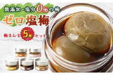 ＜特許製法!無添加・塩分0%の梅＞ゼロ塩梅　梅まんま　嬉しいちょっとずつ5種類セット!【1488173】