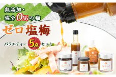 ＜特許製法!無添加・塩分0%の梅＞ゼロ塩梅　バラエティー5点セット!【1488296】