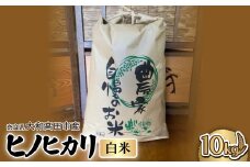 お米　ヒノヒカリ　(白米)10kg【1491036】