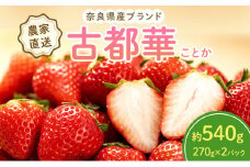 【先行予約】いちご 奈良県産 古都華 約540g(270g× 2パック ) セット 高評価 フルーツ 果物 旬 産地直送 農家直送 完熟 旬のフルーツ 旬の果物 お取り寄せ おやつ デザート ことか イチゴ 冷蔵 冷蔵配送 奈良 大和郡山市 [№5990-0413]