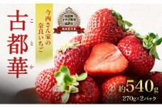 【先行予約】今西さん家の奈良いちご いちご 古都華 約540g(270g× 2パック ) フルーツ 果物 旬 糖度 産地直送 農家直送 旬のフルーツ 旬の果物 お取り寄せ おやつ デザート 苺 冷蔵  奈良 大和郡山市[№5990-0421]
