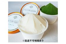 植物性100％　大和大鉄砲大豆の豆乳ジェラート [№5990-0429]