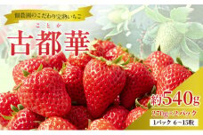 【先行予約】いちご 完熟 古都華 約540g(270g× 2パック ) 佃農園のこだわり 高評価 フルーツ 果物 旬 産地直送 旬の果物 おやつ デザート ことか イチゴ 冷蔵 冷蔵配送 奈良県 大和郡山市 [№5990-0476]