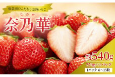 【先行予約】いちご 完熟 奈乃華 約540g(270g× 2パック ) 佃農園のこだわり フルーツ 果物 旬 産地直送 旬のフルーツ 旬の果物 お取り寄せ おやつ デザート イチゴ 苺 なのか 冷蔵 冷蔵配送 奈良 奈良県 大和郡山市 [№5990-0478]