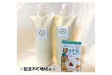 葛乳酸菌豆乳ヨーグルト〈スターターキット〉 [№5990-0479]